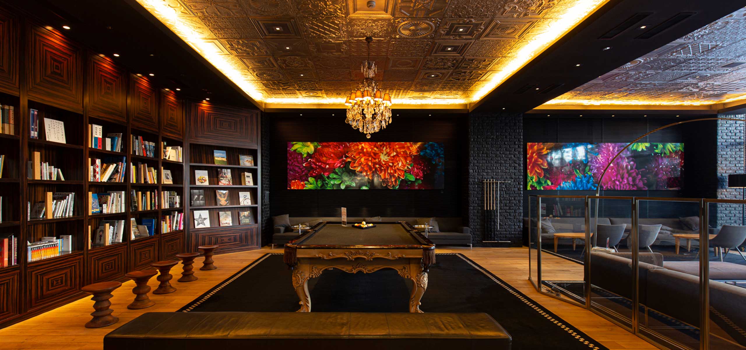 Lounge and library area